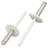 SKIR'CO (10 pcs) Large Flange Aluminium Blind Rivets 4.8 x