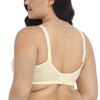 HSIA Women's Minimizer Bra Full Coverage Lightly Unlined Bra Plus