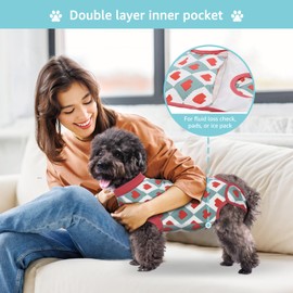 Comwish 2 Packs Dog Recovery Suit Female Male, Red Heart + Blue Heart, M