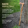 Brazos Rustic Wood Walking Cane, Twisted Hickory, Traditional Style Handle,