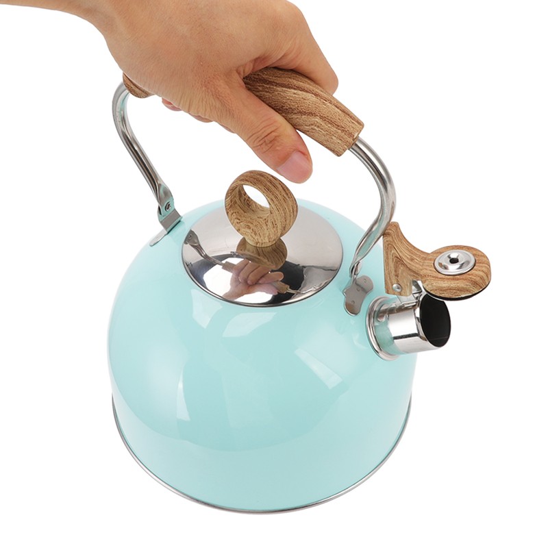 2.5L Whistling Tea Kettle with Handle Stainless Steel Portable Stovetop