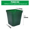 RooTrimmer Square Seedling Nursery Pots 3.15 Inches 100 Pcs for