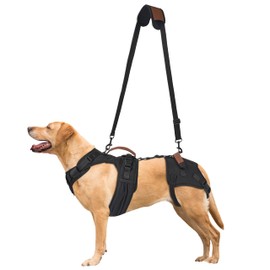 Dog Lift Harness for Male Dogs - 2-in-1 Full Body Support Aid & Sling, Comfortable & Chafe-Free for Post-Surgery Recovery and Elderly Dog Mobility, Hind Leg Assistance, Supports up to 40 Lbs (M)