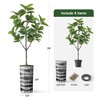 Artificial Tree in Black and White Vertical Stripe Planter, Fake