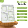 Ryan's Classy Plastic 5 Compartment Plates Disposable, 125 Pack Heavy-Duty