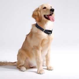 Serijoars Martingale Dog Collar, Adjustable Nylon Training Dog Collar Reflective Martingale Collar for Small Medium Large Dogs (S, Black)