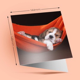 1 x Greeting Card Cute Sleeping Beagle Puppy Dogs Pets - Blank Birthday Celebration Anniversary #8432