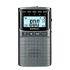 WINTECH EMR-700 AM/FM Portable Digital Radio with Disaster Prevention, Gun