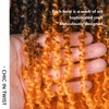 Toyotress Yanky Twist Crochet Hair - 12 Inch 2 Packs