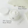 Beauty of Joseon Beauty of Joseon Dynasty Cream Hydrating Face