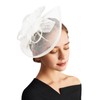 DRESHOW Fascinator Hats for Women Pillbox Hat with Veil Headband