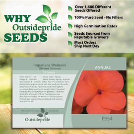 Outsidepride 75 Seeds Impatiens Xtreme Salmon Shade Garden Flower Seeds for Planting
