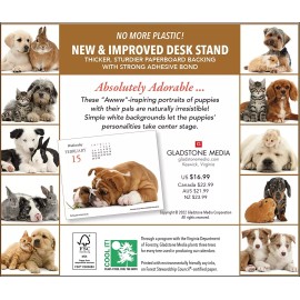 Gladstone Media, Puppies and Friends 2023 Desk Calendar Baby Animal Photography