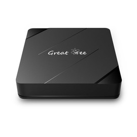 Great Bee Arabic tv box for IPTV,set top box,Free for lifetime
