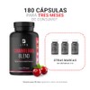 Arándano Concentrado 50:1 de 180 Cápsulas con Vitamina C. Ingredientes