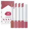 4 PCS Plumping Lip Gloss & Lipsticks in Velvety Nude