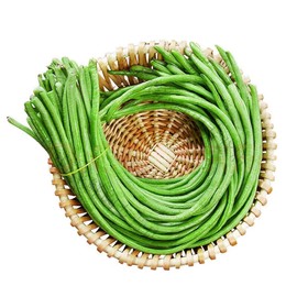 100+ Seeds Snake Oriental Yard Long Asparagus Pole Bean Seed for Planting Green Noodle Beans Heirloom Non-GMO Delicious Vegetable Seeds