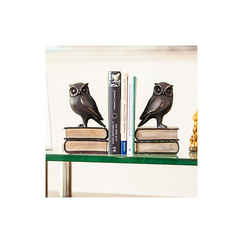 Danya B. Owl on Books Bookend Set