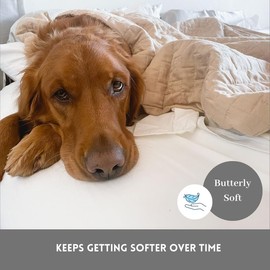 DreamFit DreamComfort 100% Natural Long Staple Cotton Sheet Set with Elastic Corner Bands with Extra Deep Pockets up to 20 Inches Luxury Bedding Crafted in USA Queen Sheet Set Gray