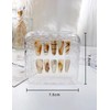 happykau Nail Tips, 24 Pieces, Nail Tips, Short, Korean, Short,