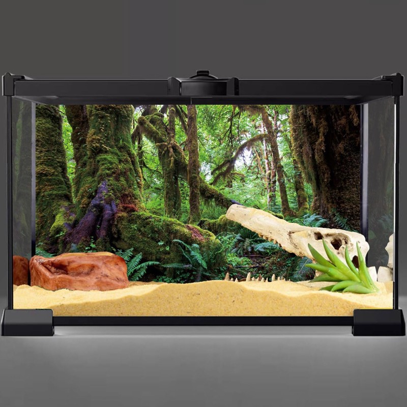 AWERT 48x24 inches Tropical Forest Terrarium Background Green Huge Tree