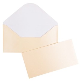 Ideen mit Herz Ideen mit Herz Grußkarten-Set | Perlmutt-Veredelung | 10 Karten ca. 250 g/m² + 10 Umschläge ca. 120 g/m² (creme, Din lang)