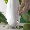 Bloomy Lotus Bud Ultrasonic Diffuser, White | Artfully Designed &
