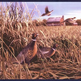 CONCORD WALLCOVERINGS ™ Wallpaper Border Country Pattern Field Barn Sky Birds for Cottage Kitchen Dining Room, Blue Brown Red Green, 10.5 Inches by 15 Feet HB2084B
