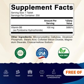 Vitamatic Vitamin B6 (Pyridoxine HCl) 100mg – 250 Vegetarian Tablets Promotes Energy Production, Boosts Metabolism & Supports Immune Health*