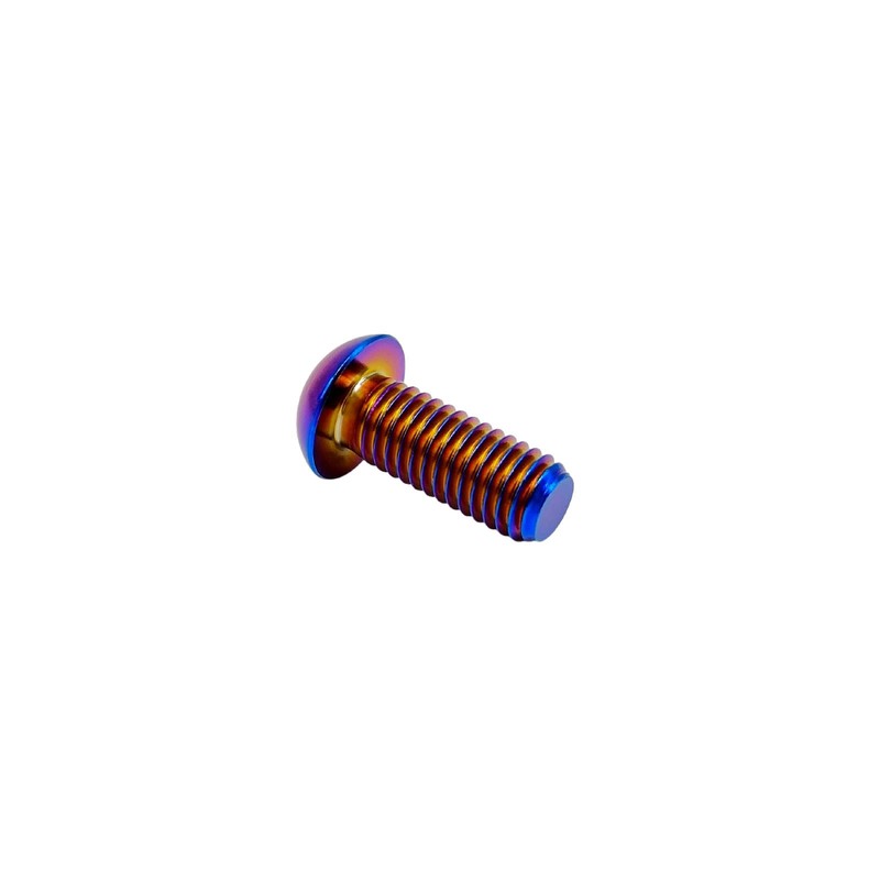 RISON Pack of 5 Titanium Rounded Head Screws with Hexagon