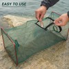 Collapsible Fish Trap for Outdoor Fishing - Portable Mesh Fish