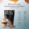 Atlas Superblend Café De Hongos Con Colágeno Y Probióticos
