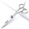 Japan 440 Steel Scissors Professional Hairdressing Scissors for Barber Thinning