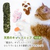 (Six Meow) Cat Toy, Popular Cat Play, Chewing Toy, Cute