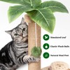 Meowoou MEOWOOU Cat Scratching Post Cat Toys for Indoor Cats