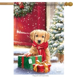 US Flag Store 48721 Carson Banner Flag, Red, White, Gree, Brown