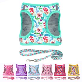 Moonpet Step in Dog Harness Leash Set- All Weather Reflective No-Pull Floral Pattern Padded Mesh Vest Harness for Cats Puppy Extra-Small Small Medium Large Dogs - Verdure Flower - M