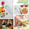 Tina.Win Grape Slicer, Stainless Steel, for Fruit, Eggs, Side Dishes,