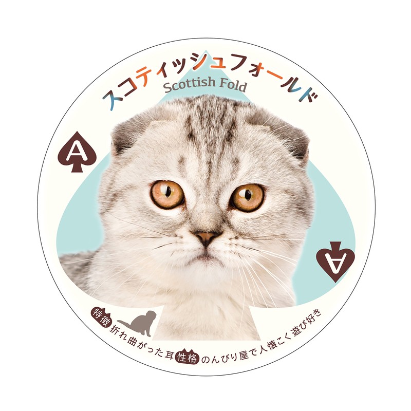 アイアップ ねこトランプ