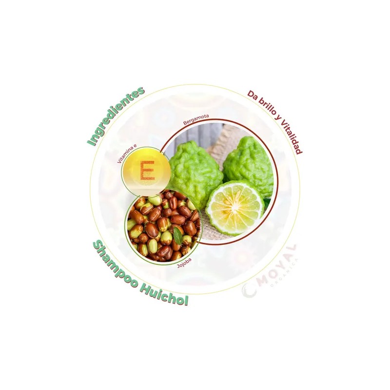 Shampoo Huichol De Jojoba Con Bergamota Brillo 250 Ml