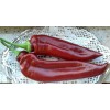 Southeast Seeds Joe E. Parker Chili Pepper Seeds, NON-GMO, NUMEX,