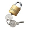 Sanwa Supply SLE-2LMN e-Security (Master Key Compatible Padlock, Small)
