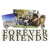 Malden International Designs Tabletop Photo Clips Wood Block Forever Friends