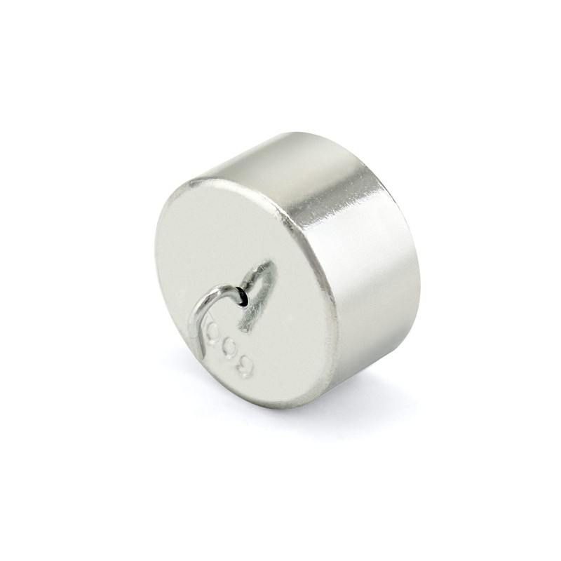 QWORK Double Hook Physics Weights Set, 10pcs 100g Metal Weights