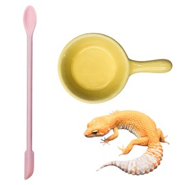 Gecko Accessories, Ceramic Food Bowl with Silicone Spoon for Puree, Reptile Food Dish for Crested, Leopard