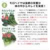 Moroheiya 100% Green Grains, 100 Capsules x 6 Bags, Made