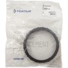 Pentair Lock Ring, Rainbow RDC/RTL/Leaf Traps