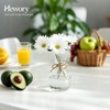 Hewory Glass Avocado Vase for Growing: 3 Pcs Acorn Vases