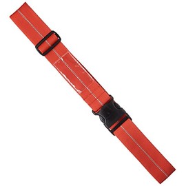Eagle Creek Reflective Luggage Strap, Flame Orange
