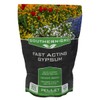 SouthernGRO Fast Acting Gypsum 4lb. Bag